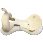 Alpha All-Round Saddle Tree 17"